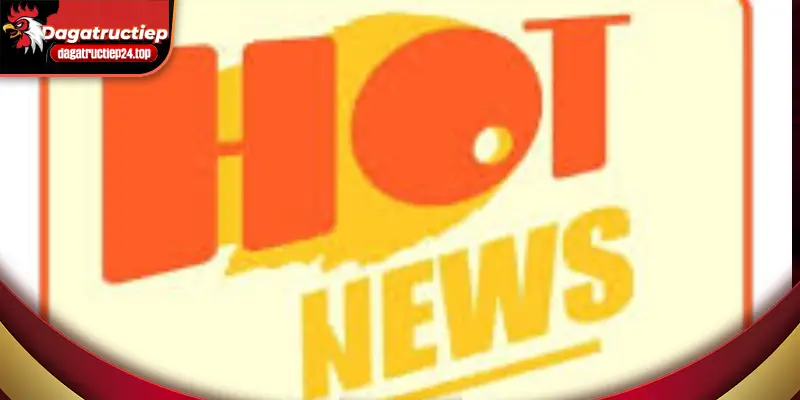 anh-dai-dien-tin-tuc-da-ga-truc-tuyen