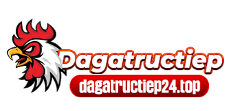 dagatructiep24.top