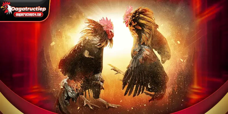 giới hạn trách nhiệm của sảnh game với người dùng 