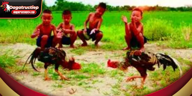 kĩ thuật phân tích chiến kê là 1 trong những kĩ thuật cơ bản nhất tại nơi đây 