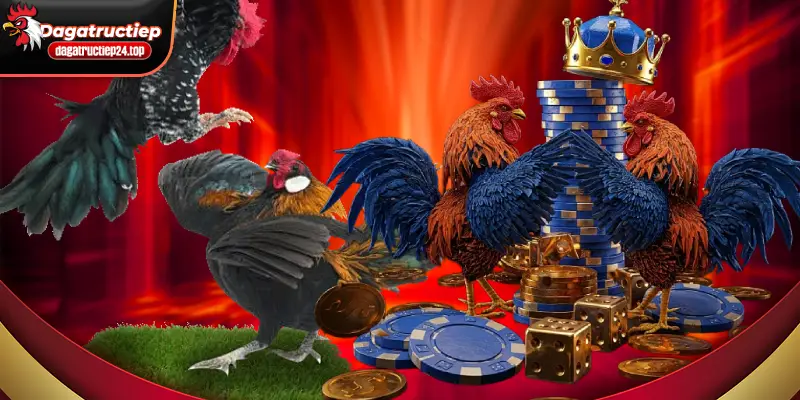 kinh nghiệm theo dõi nhanh trận đấu quan trọng 