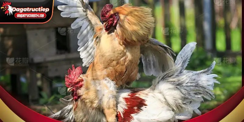 mục đích xây dựng của chính sách bảo mật nhằm bảo vệ thông tin người dùng 