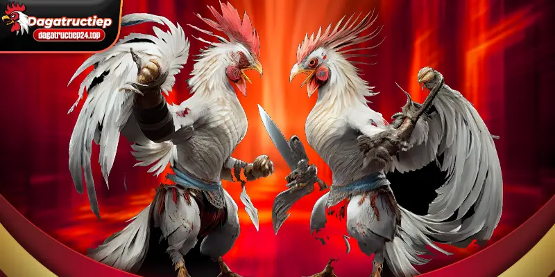 người dùng truy cập dữ liệu và công nghệ theo dỏi 