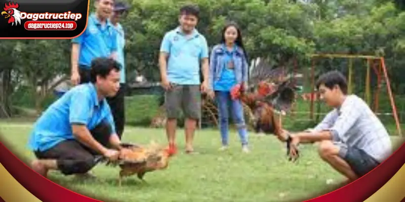 quan sát là 1 trong những yếu tố không thể thiếu 