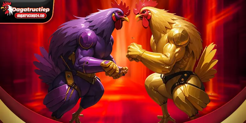 quy định và quyền từ chối khi truy cập web site