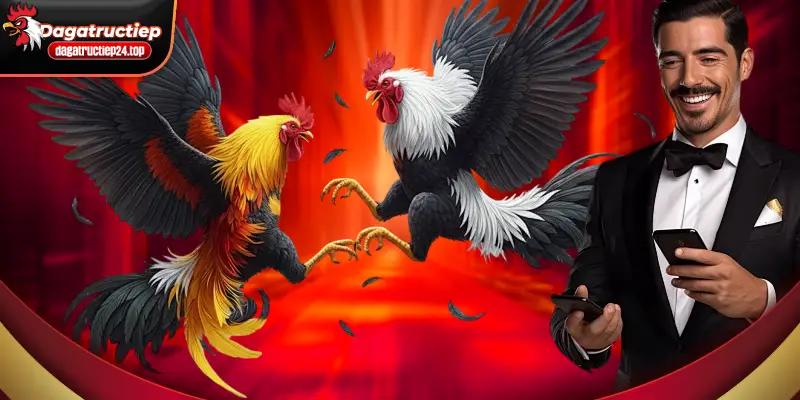 với lượng lớn khán giá đông đảo tham gia tại đá gà trực tuyến 