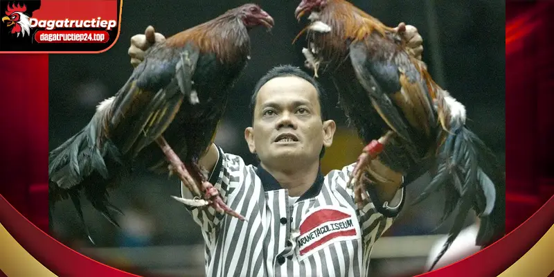 xu hướng thống kê người xem 